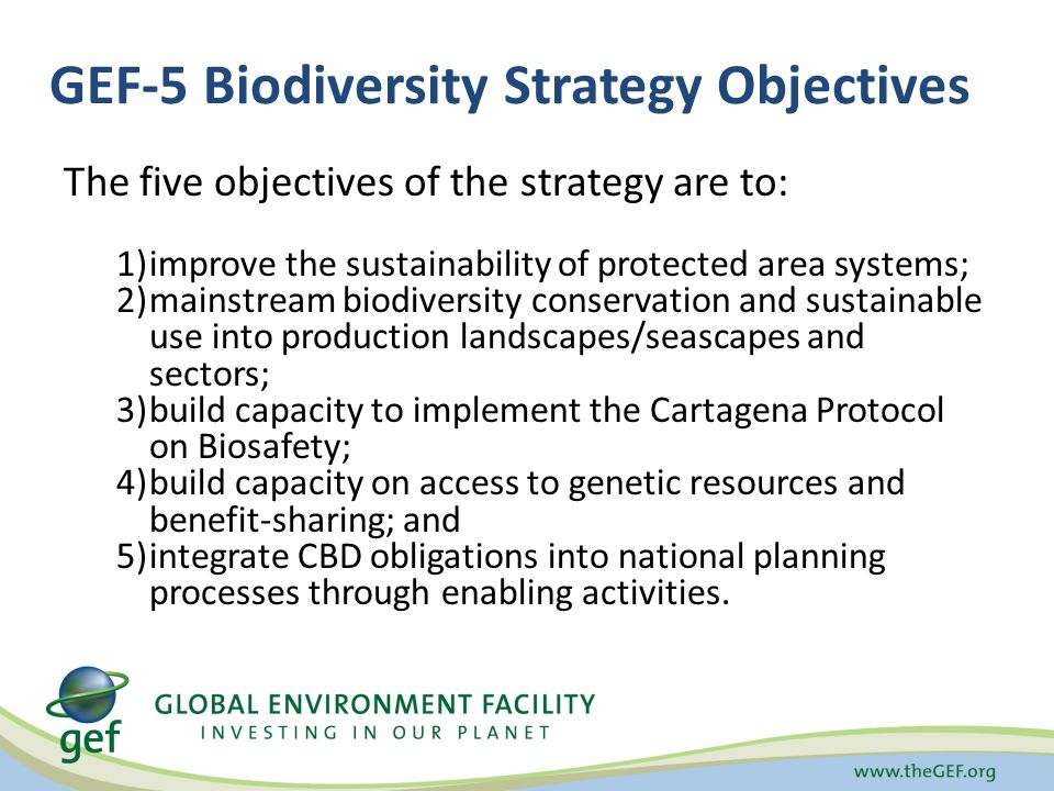 GEF-5 Biodiversity Strategy Objectives