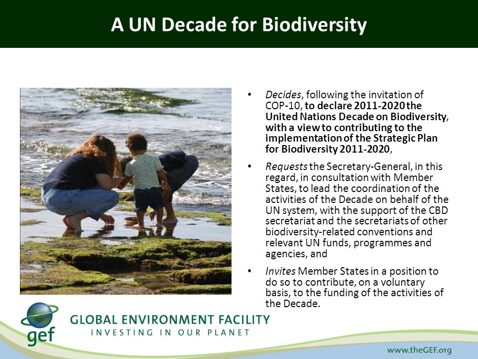 A UN Decade for Biodiversity