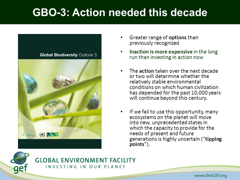 GBO-3: Action needed this decade