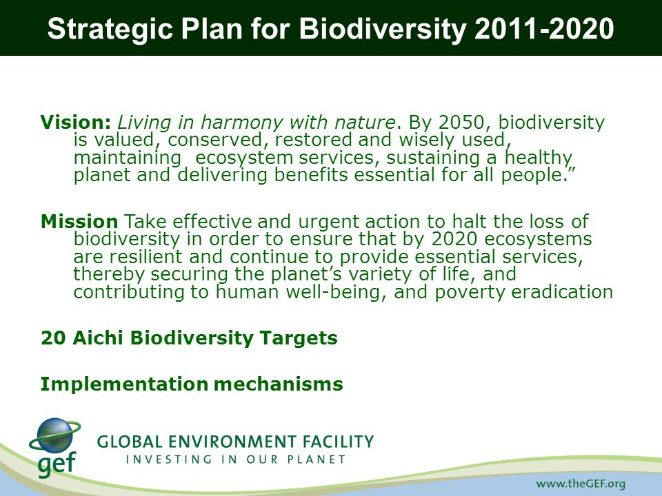 Strategic Plan for Biodiversity