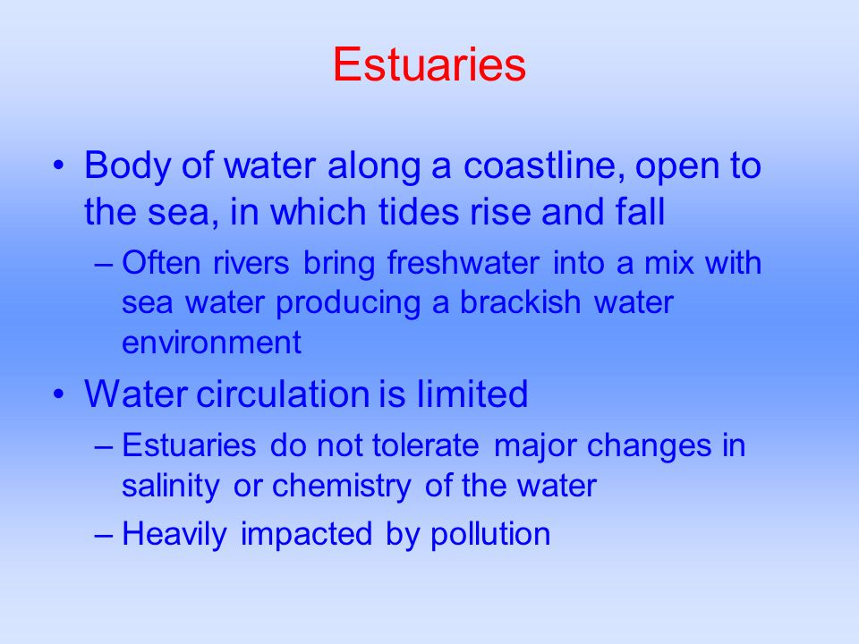 Estuaries Body of water along a coastline, open to the sea, in which tides rise and fall.