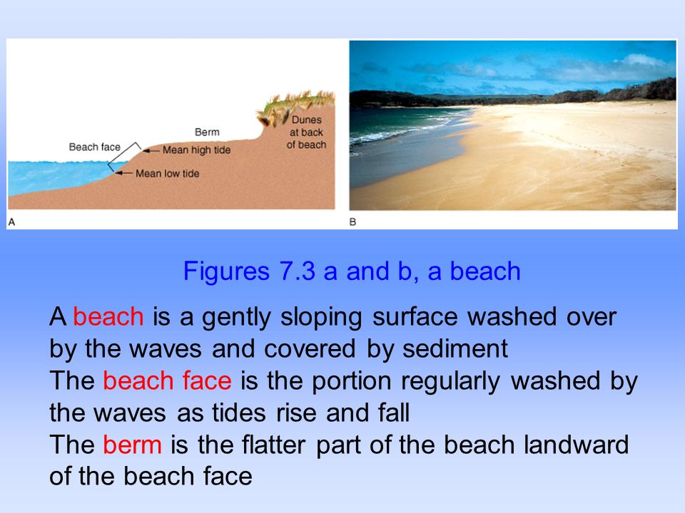 Figures 7.3 a and b, a beach A beach is a gently sloping surface washed over by the waves and covered by sediment.