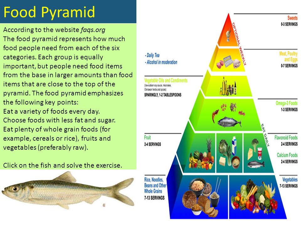 Food Pyramid According to the website faqs.org