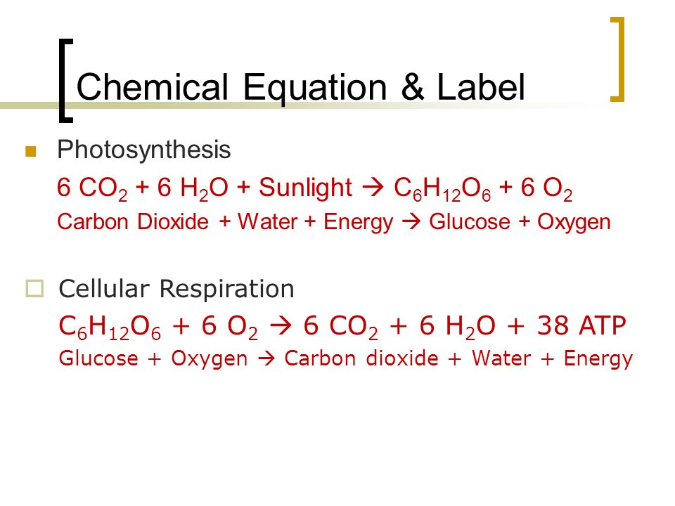 Chemical Equation & Label