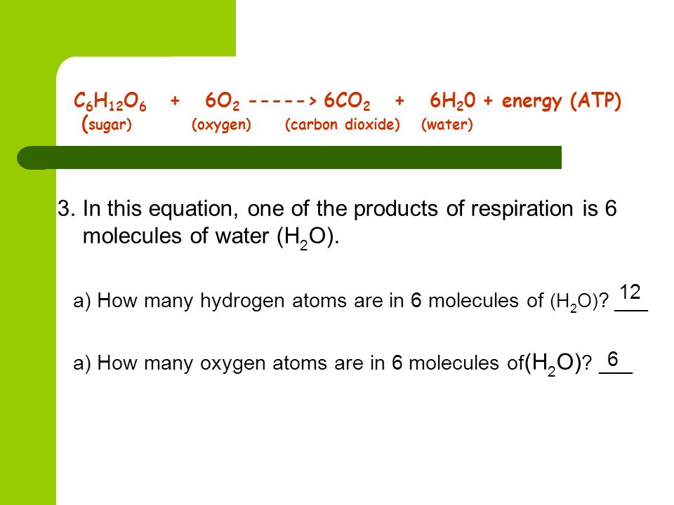 C6H12O6 + 6O > 6CO2 + 6H20 + energy (ATP)