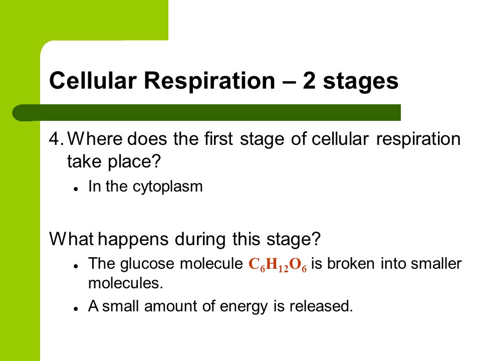 Cellular Respiration – 2 stages