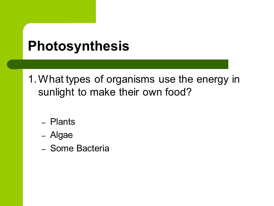 Photosynthesis What types of organisms use the energy in sunlight to make their own food Plants.