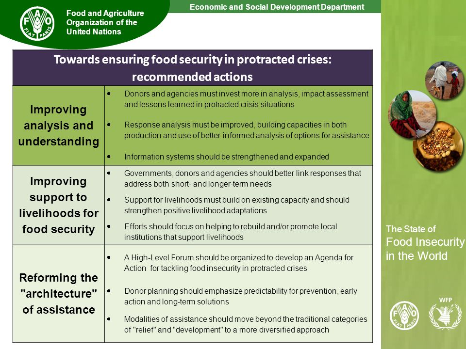 Towards ensuring food security in protracted crises: recommended actions