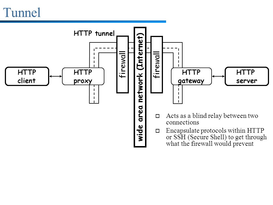 wide area network (Internet)