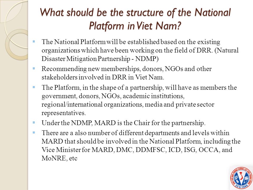 What should be the structure of the National Platform in Viet Nam