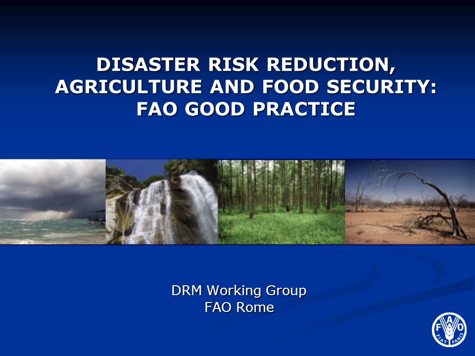 DRM Working Group FAO Rome
