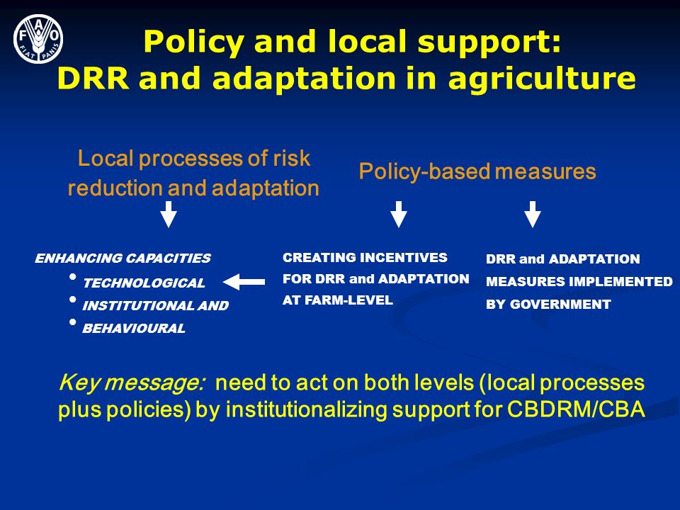 Policy and local support: DRR and adaptation in agriculture