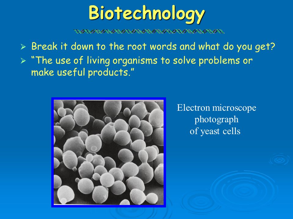 Biotechnology Break it down to the root words and what do you get