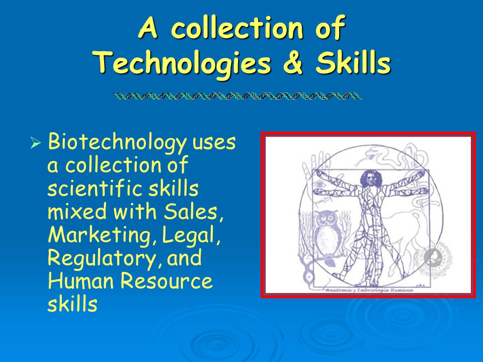 A collection of Technologies & Skills