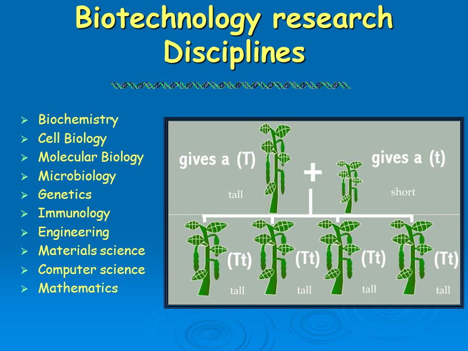 Biotechnology research Disciplines