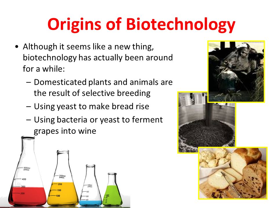 Origins of Biotechnology