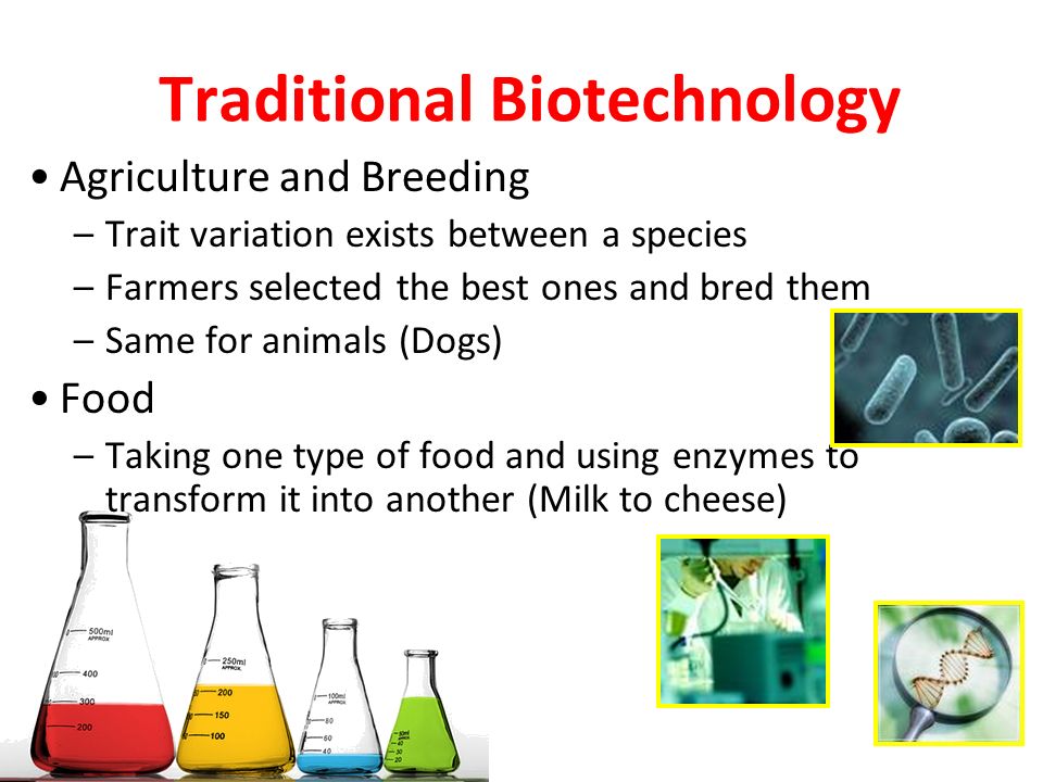 Traditional Biotechnology