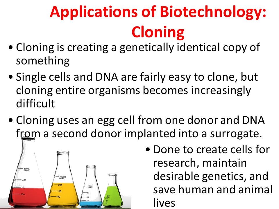 Applications of Biotechnology: Cloning