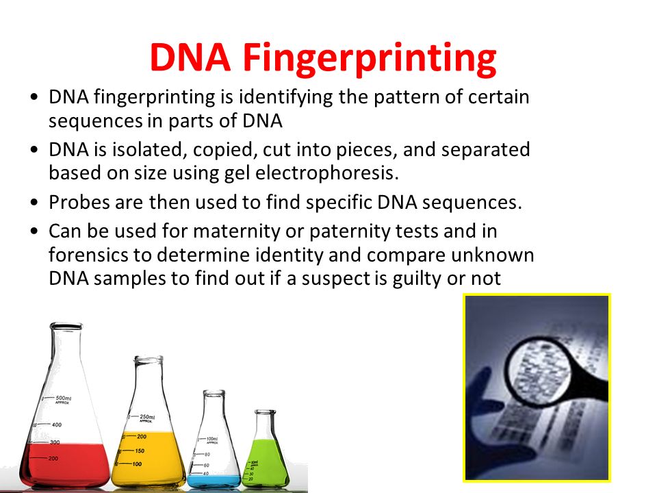 DNA Fingerprinting DNA fingerprinting is identifying the pattern of certain sequences in parts of DNA.