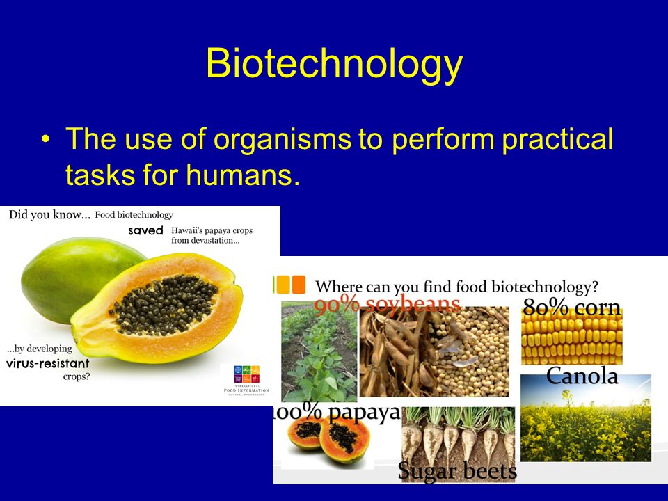 Biotechnology The use of organisms to perform practical tasks for humans.