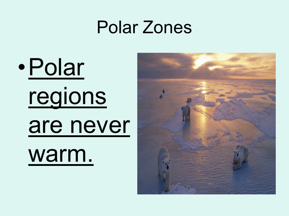 Polar regions are never warm.