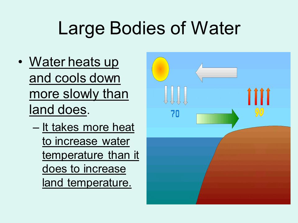 Large Bodies of Water Water heats up and cools down more slowly than land does.