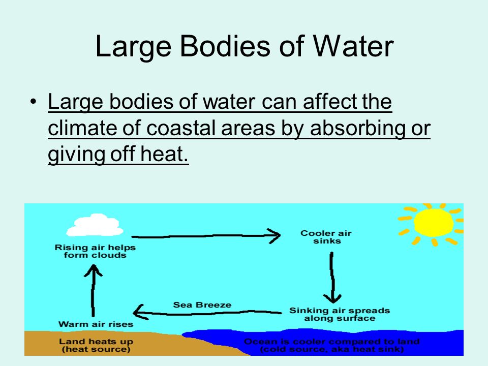 Large Bodies of Water Large bodies of water can affect the climate of coastal areas by absorbing or giving off heat.