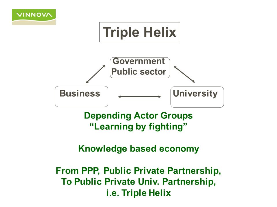 Triple Helix Business University Depending Actor Groups