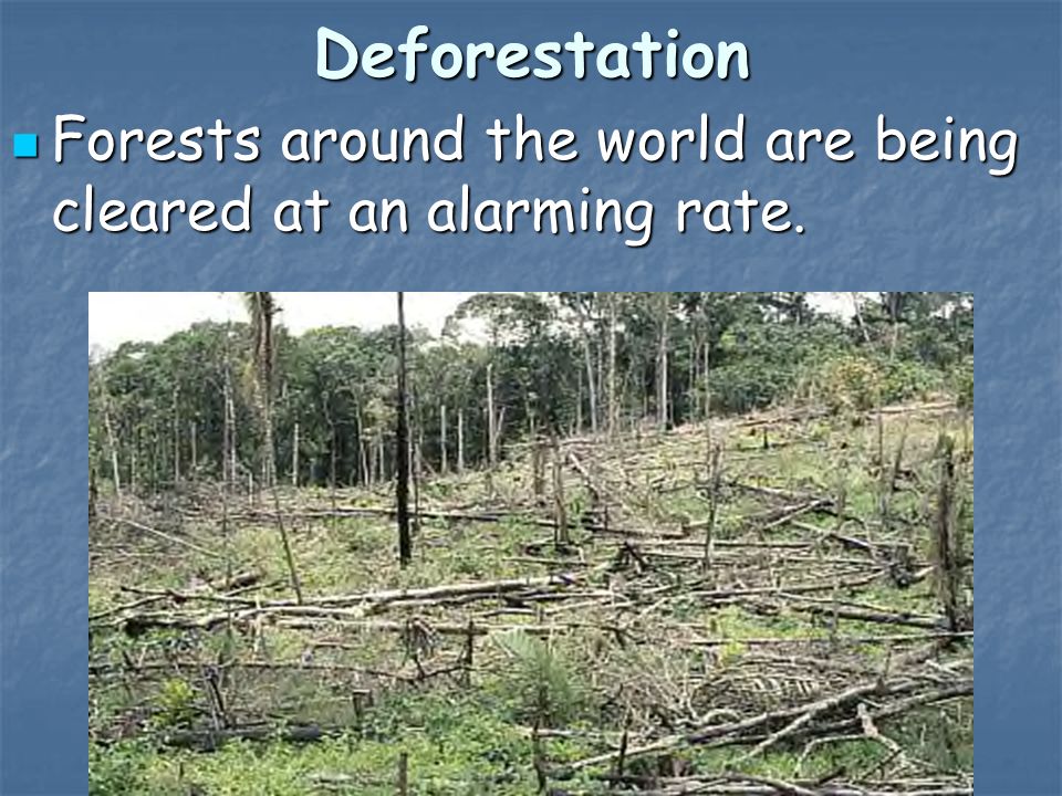 Deforestation Forests around the world are being cleared at an alarming rate.