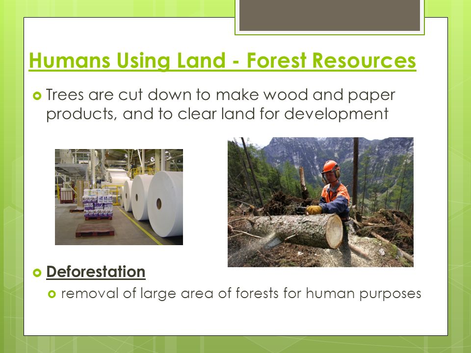 Humans Using Land - Forest Resources