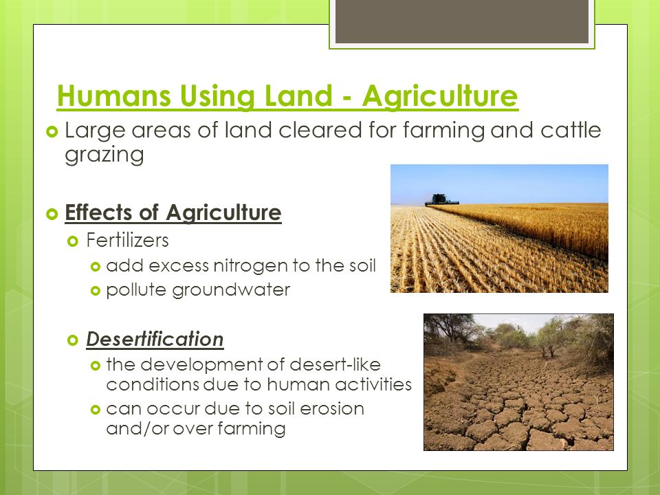 Humans Using Land - Agriculture
