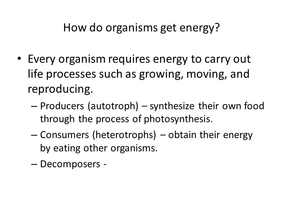 How do organisms get energy