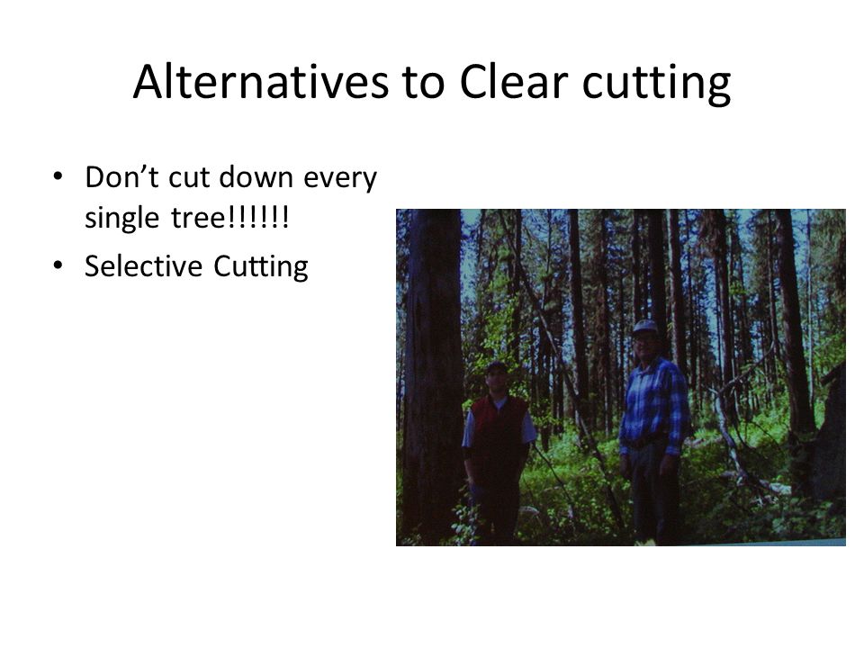 Alternatives to Clear cutting