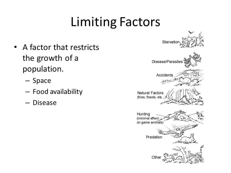 Limiting Factors A factor that restricts the growth of a population.