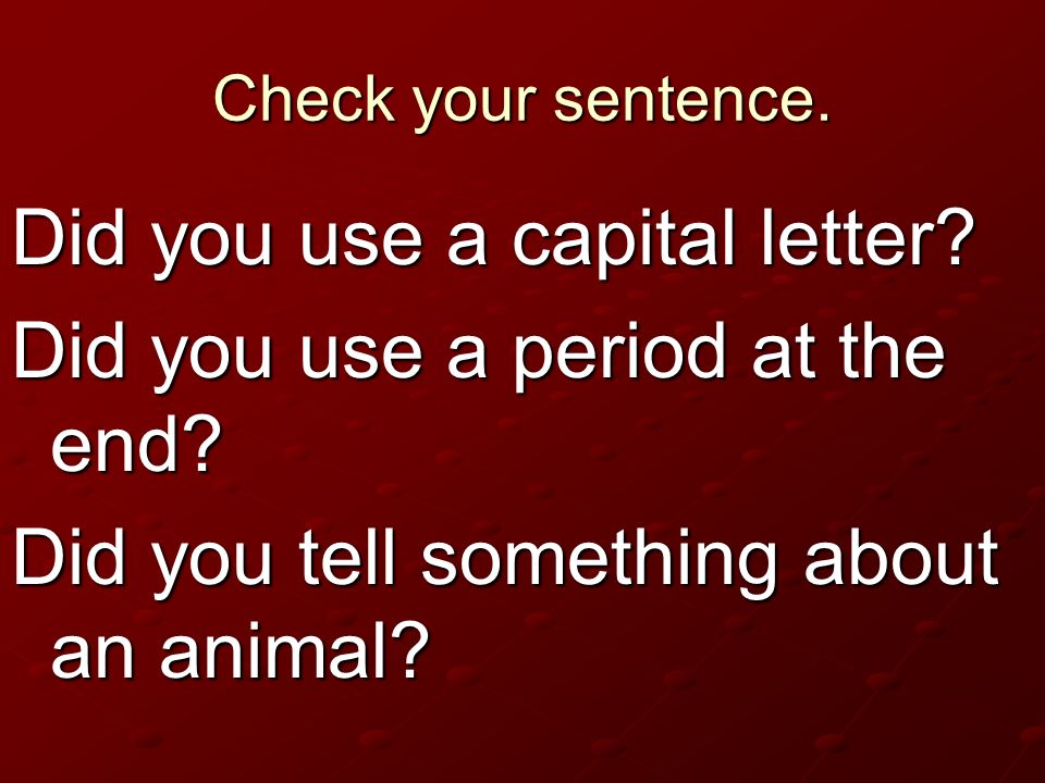 Did you use a capital letter Did you use a period at the end
