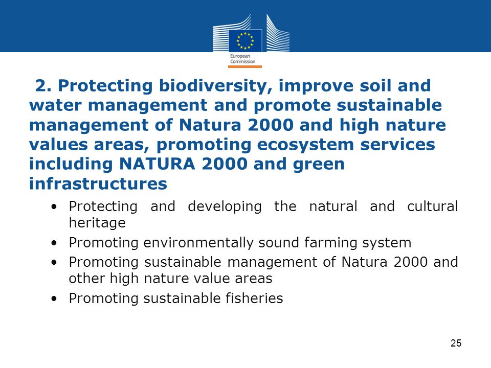 2. Protecting biodiversity, improve soil and water management and promote sustainable management of Natura 2000 and high nature values areas, promoting ecosystem services including NATURA 2000 and green infrastructures
