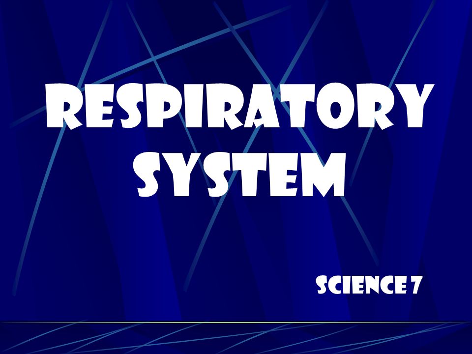 Respiratory System Science 7