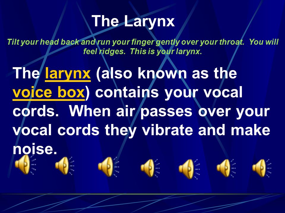 The Larynx Tilt your head back and run your finger gently over your throat. You will feel ridges. This is your larynx.