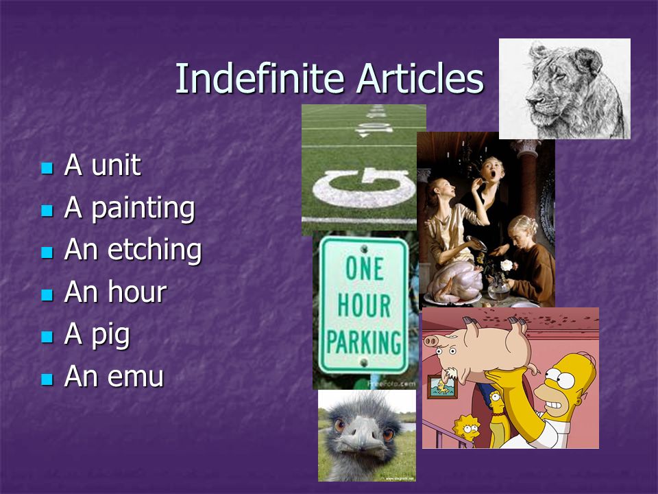 Indefinite Articles A unit A painting An etching An hour A pig An emu