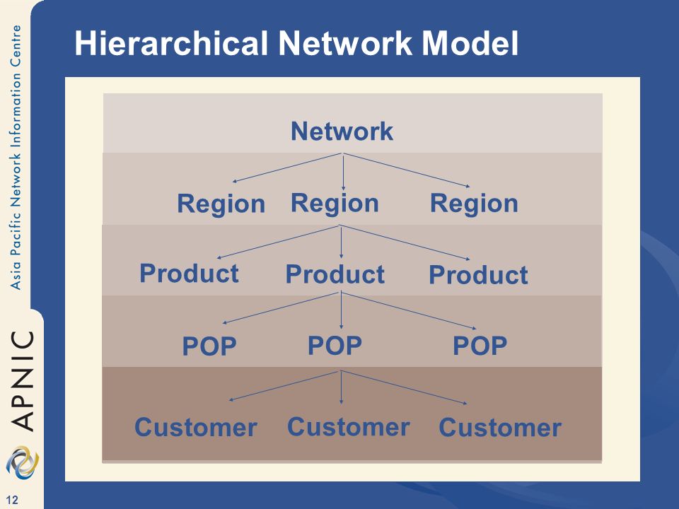 Hierarchical Network Model
