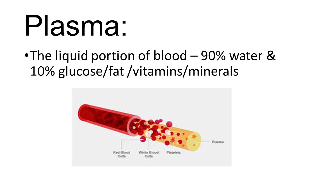 Plasma: The liquid portion of blood – 90% water & 10% glucose/fat /vitamins/minerals