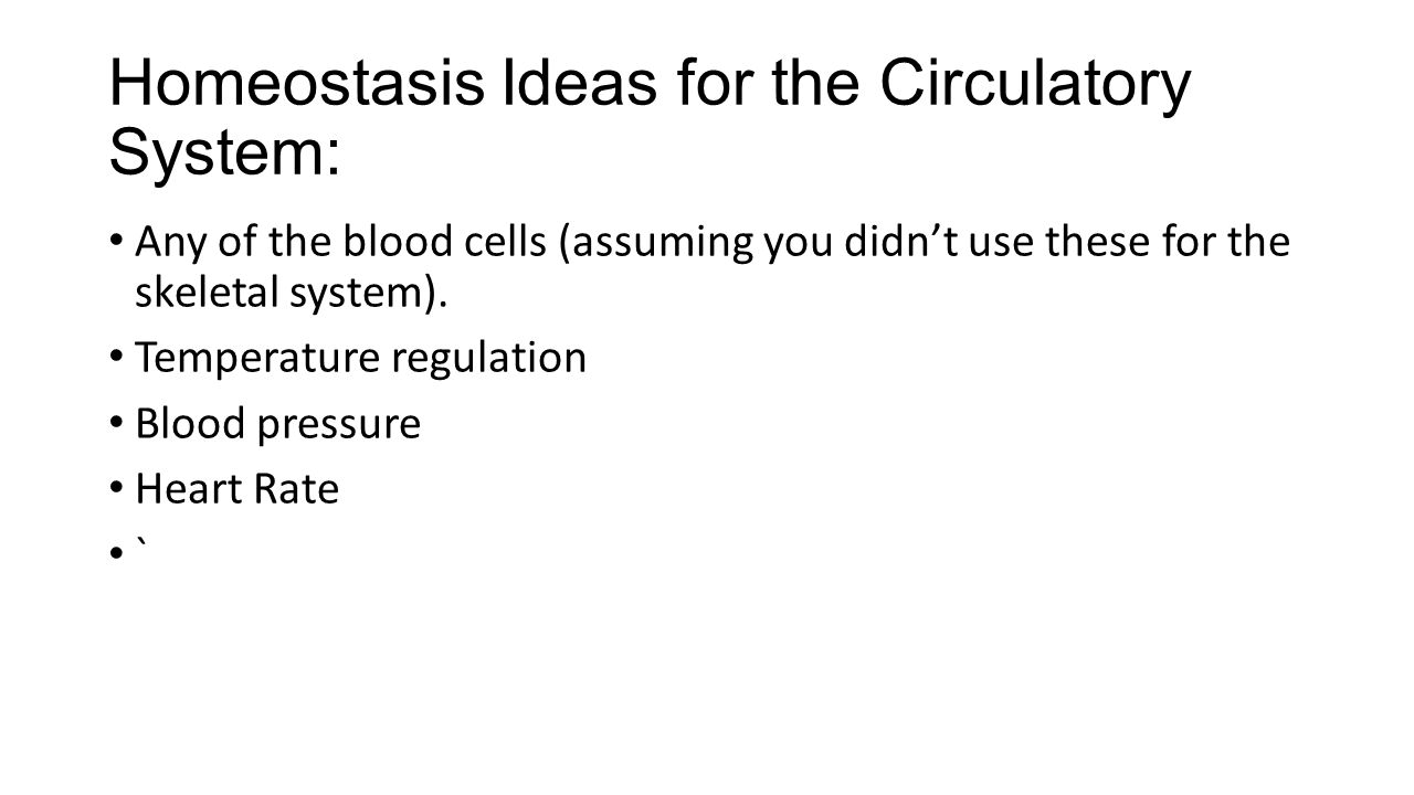 Homeostasis Ideas for the Circulatory System: