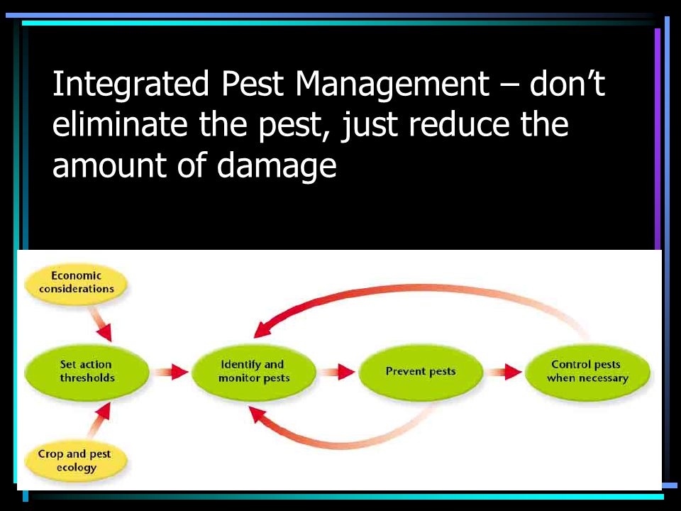 Integrated Pest Management – don’t eliminate the pest, just reduce the amount of damage