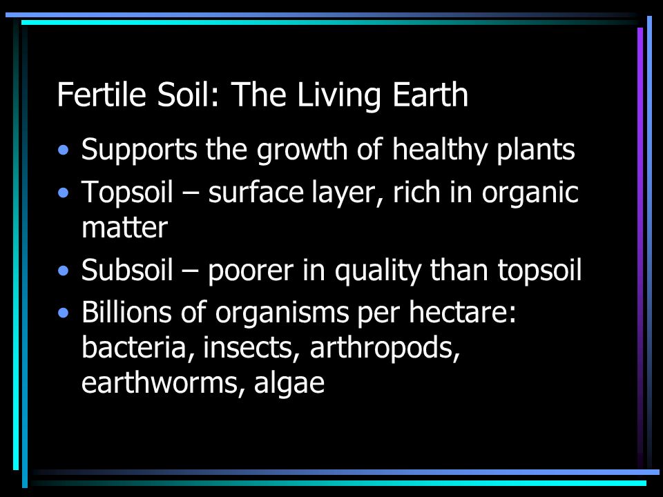 Fertile Soil: The Living Earth