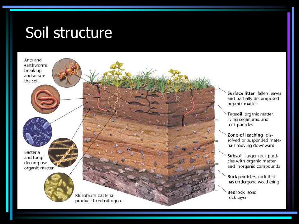 Soil structure