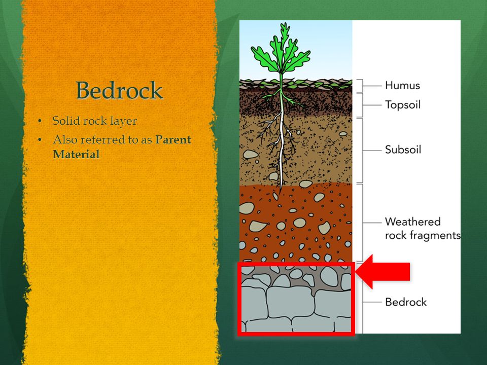 Bedrock Solid rock layer Also referred to as Parent Material
