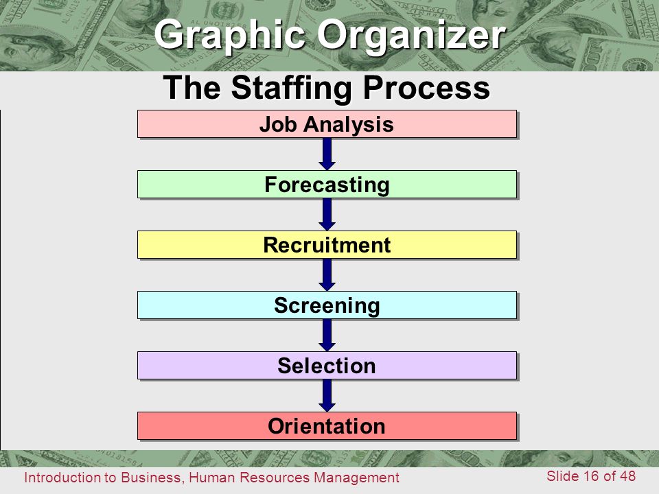 Graphic Organizer Graphic Organizer The Staffing Process Job Analysis