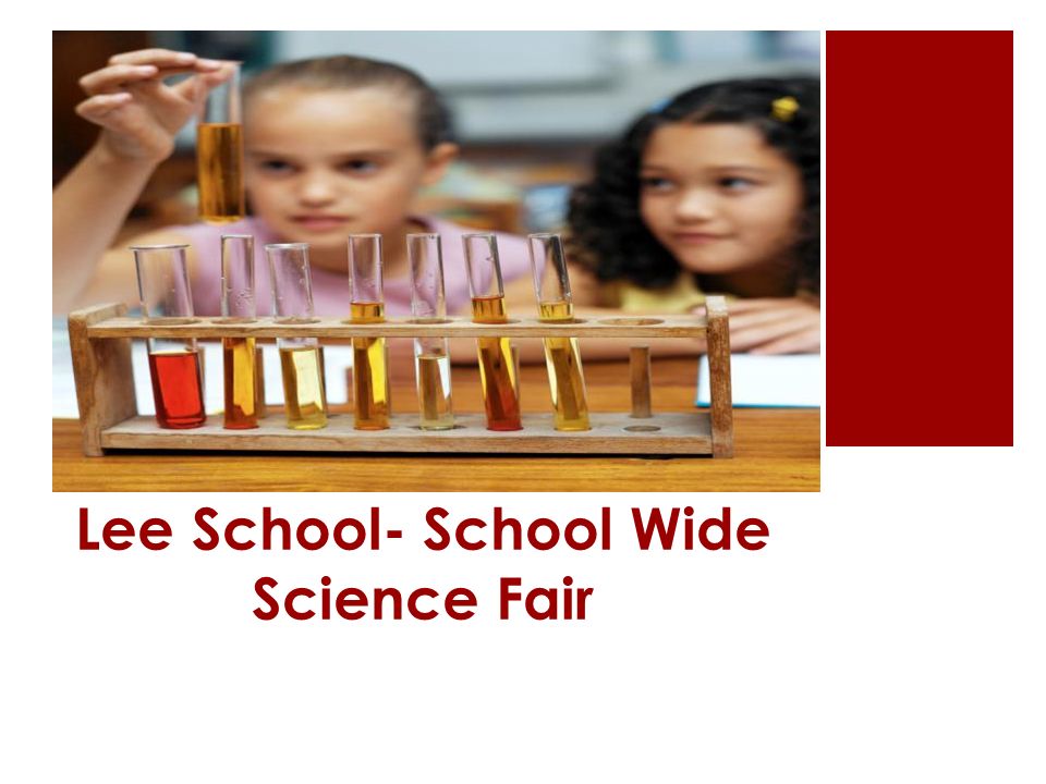 Lee School- School Wide Science Fair
