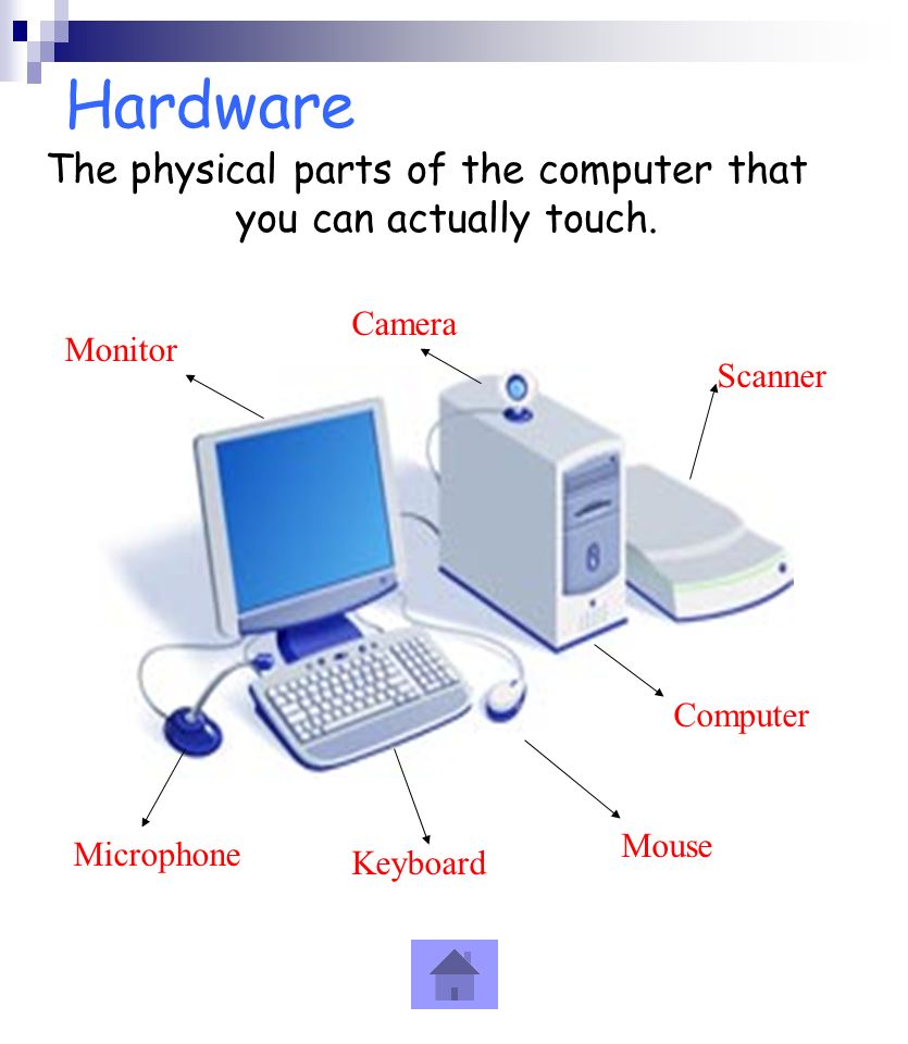 The physical parts of the computer that you can actually touch.