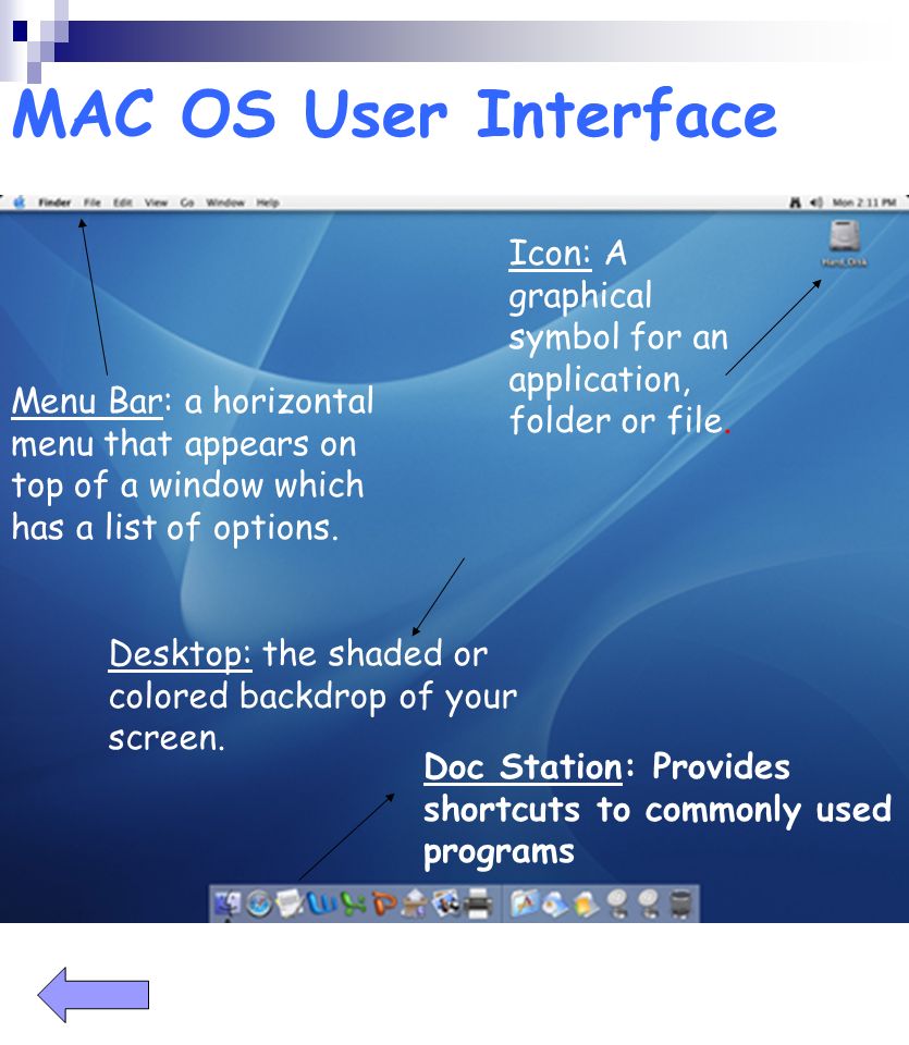 MAC OS User Interface Icon: A graphical symbol for an application, folder or file.
